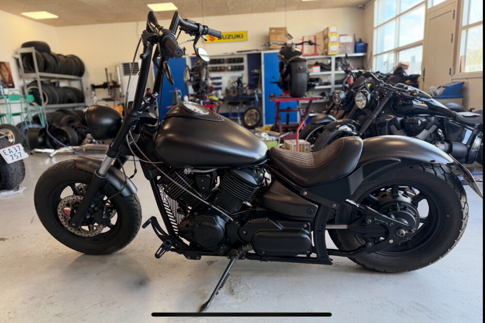 Custom XVS1100 "ape" - Image 3