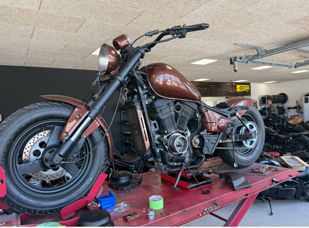 Vz800 Marauder