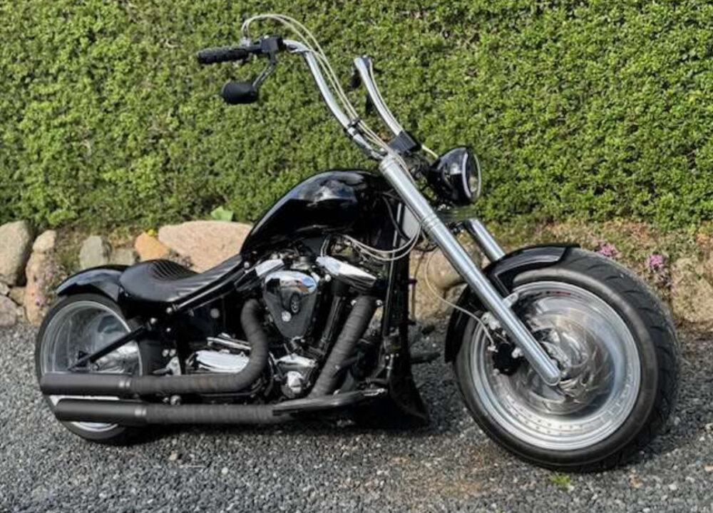 Custom XV1600 Wildstar