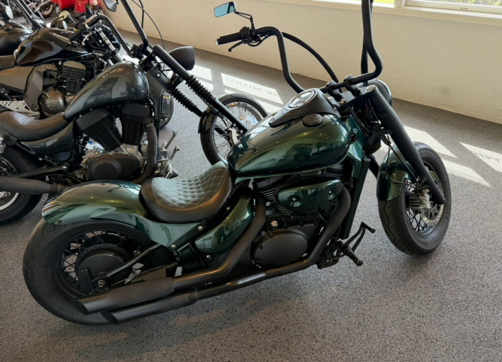 Custom VL800 - Image 2