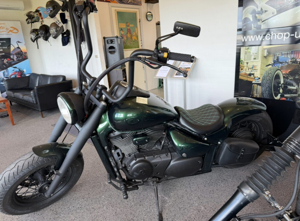 Custom VL800 - Image 4